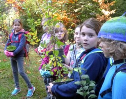Schülerinnen und Schüler der Jahrgangsstufen 3/4 pflanzen Obstbäume in Ilmenau-Roda.